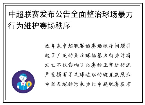 中超联赛发布公告全面整治球场暴力行为维护赛场秩序